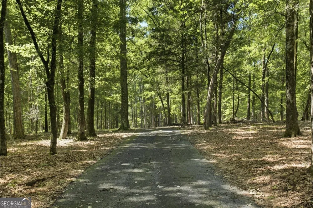 21 River RD Woodland, GA 31836