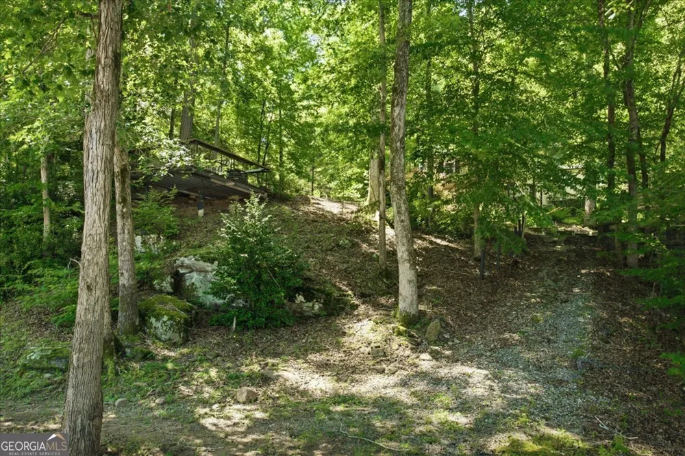 21 River RD Woodland, GA 31836