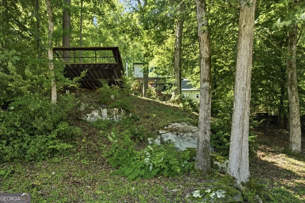 21 River RD Woodland, GA 31836
