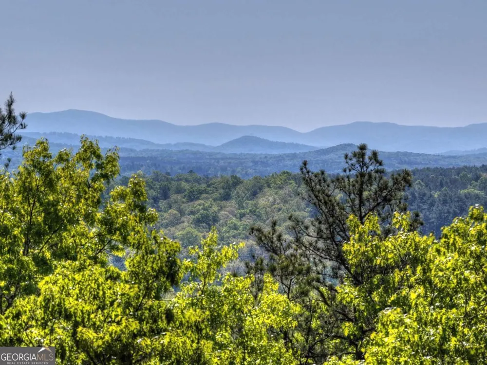 769 Voylestown RD Morganton, GA 30560