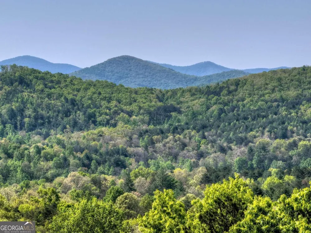 769 Voylestown RD Morganton, GA 30560