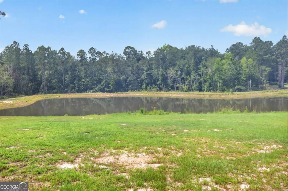 660 Old Manassas Foy RD Register, GA 30452