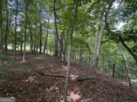 LOT 16 CALHOUN RD