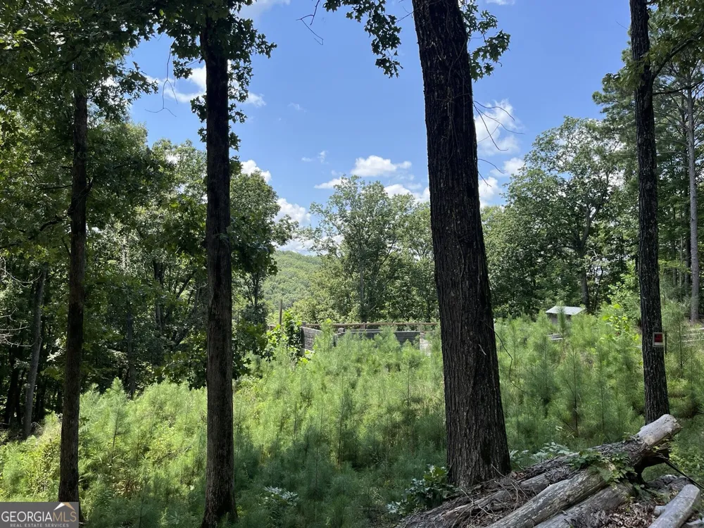 98 Adair DR NE Ranger, GA 30734