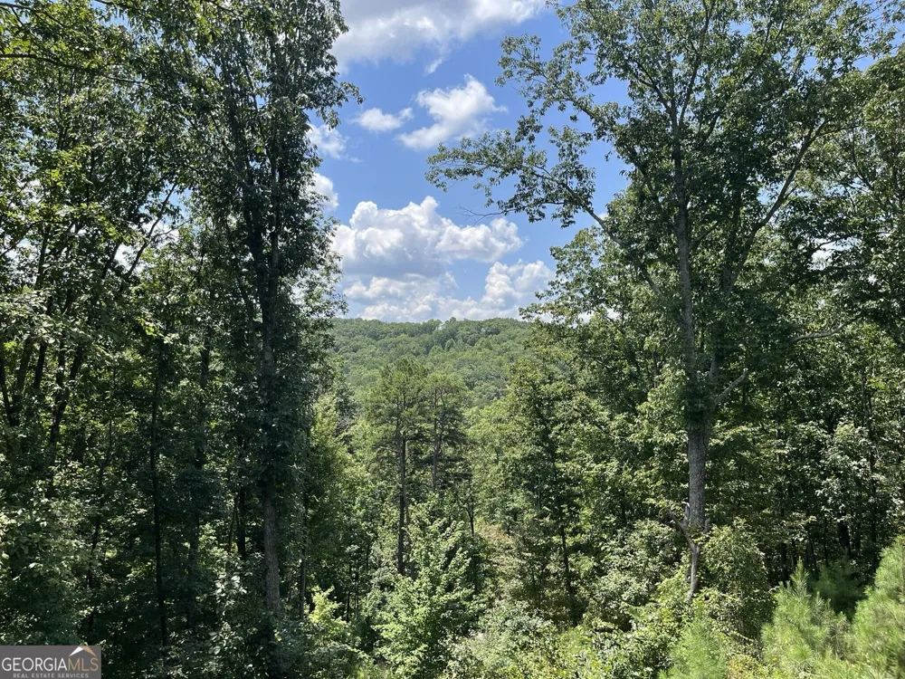98 Adair DR NE Ranger, GA 30734
