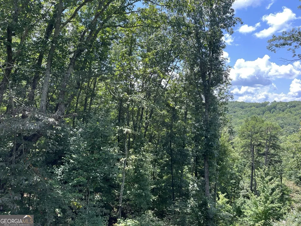 98 Adair DR NE Ranger, GA 30734