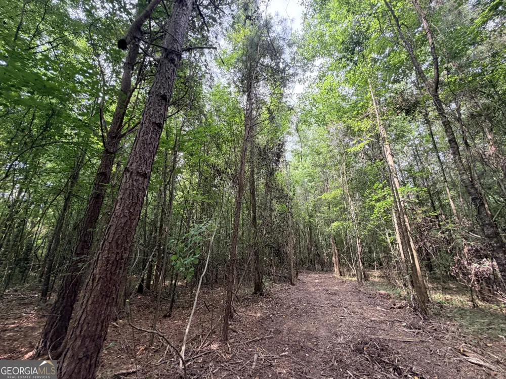 2 Norwood RD Hull, GA 30646