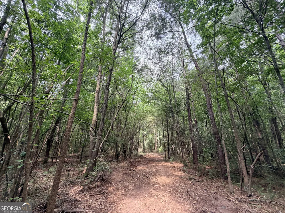 2 Norwood RD Hull, GA 30646