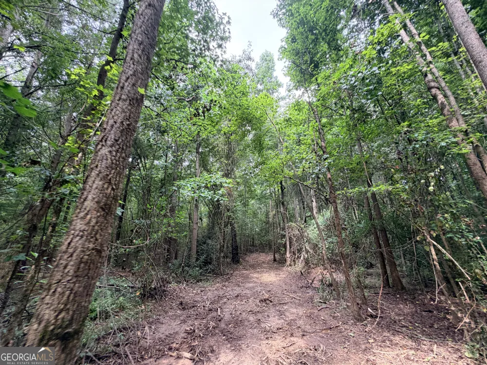 2 Norwood RD Hull, GA 30646