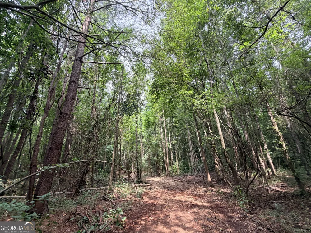 2 Norwood RD Hull, GA 30646