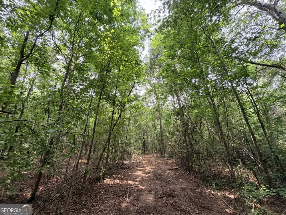 2 Norwood RD Hull, GA 30646