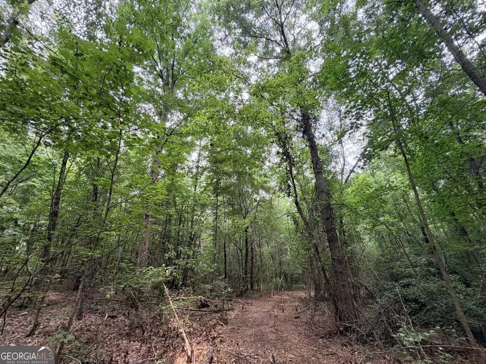 2 Norwood RD Hull, GA 30646