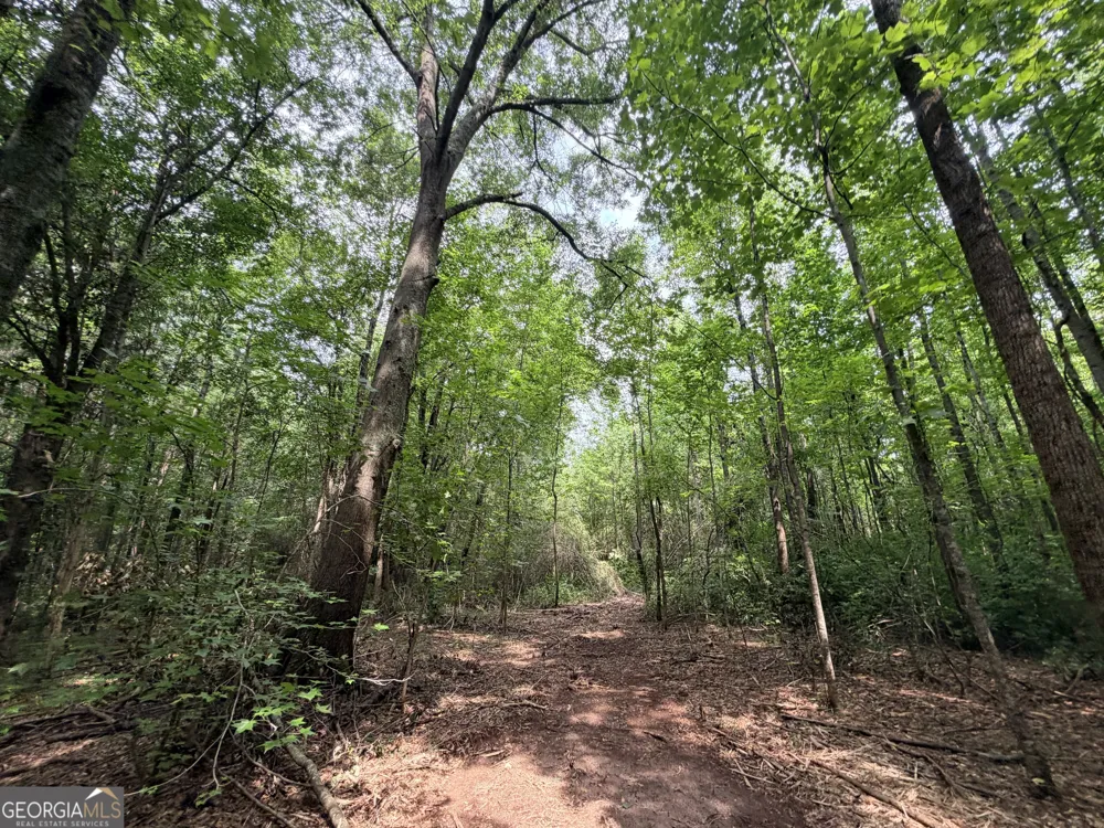 2 Norwood RD Hull, GA 30646