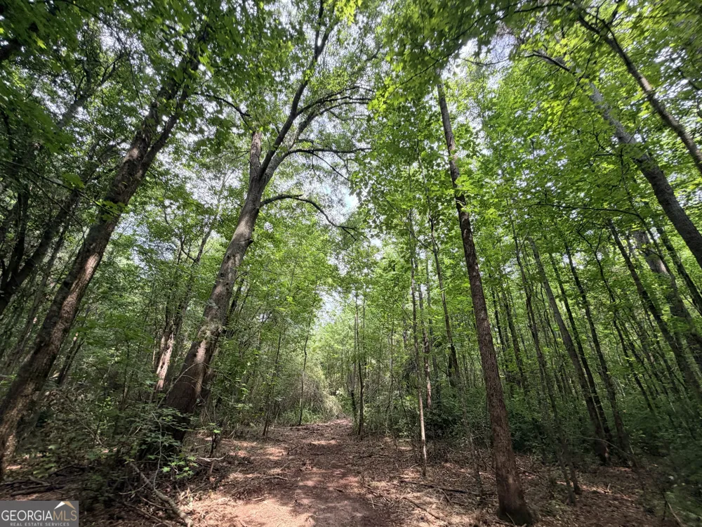 2 Norwood RD Hull, GA 30646