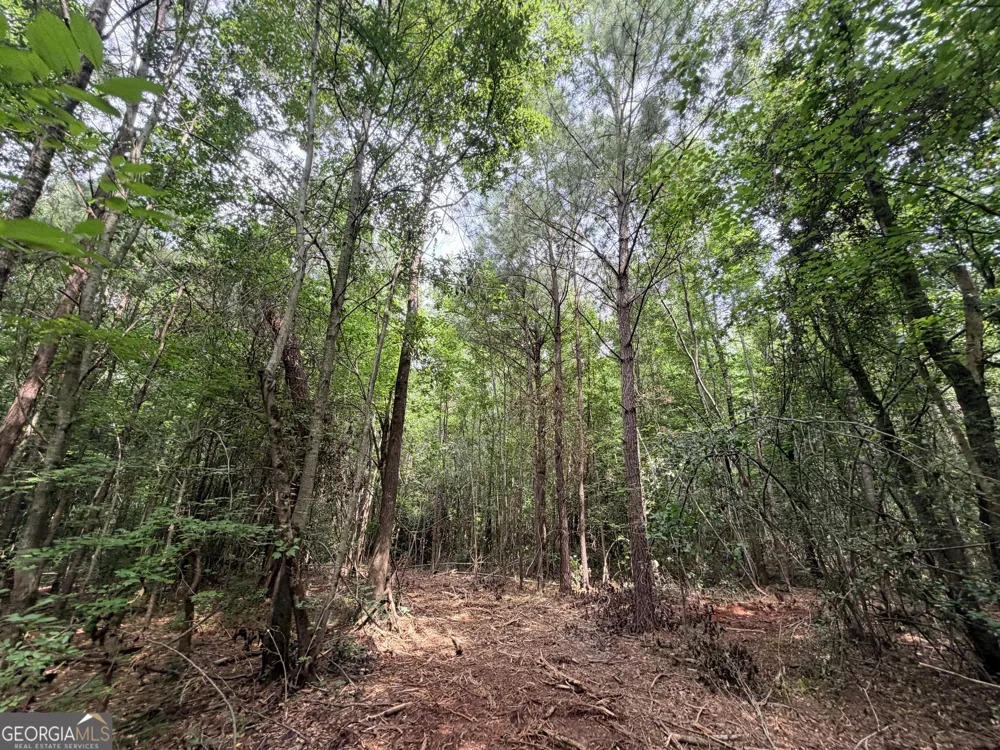 2 Norwood RD Hull, GA 30646