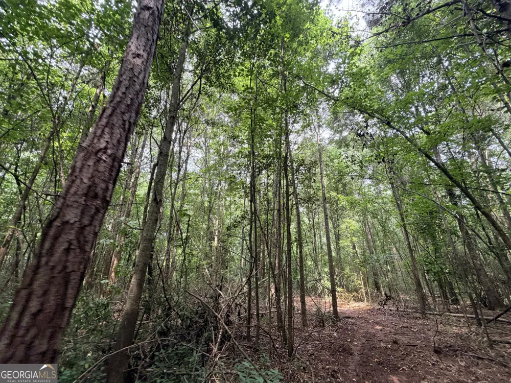 2 Norwood RD Hull, GA 30646
