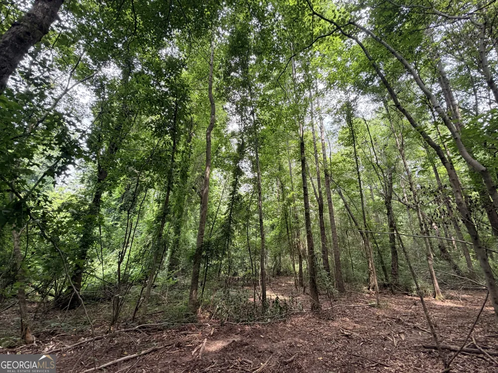 2 Norwood RD Hull, GA 30646