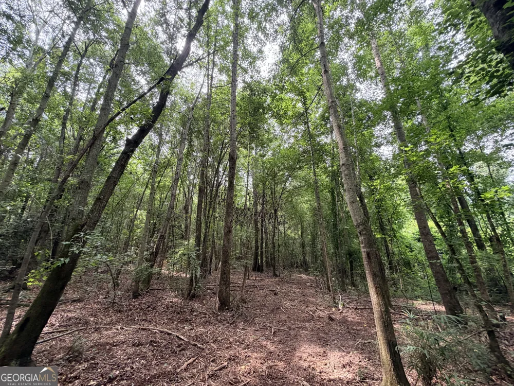 2 Norwood RD Hull, GA 30646