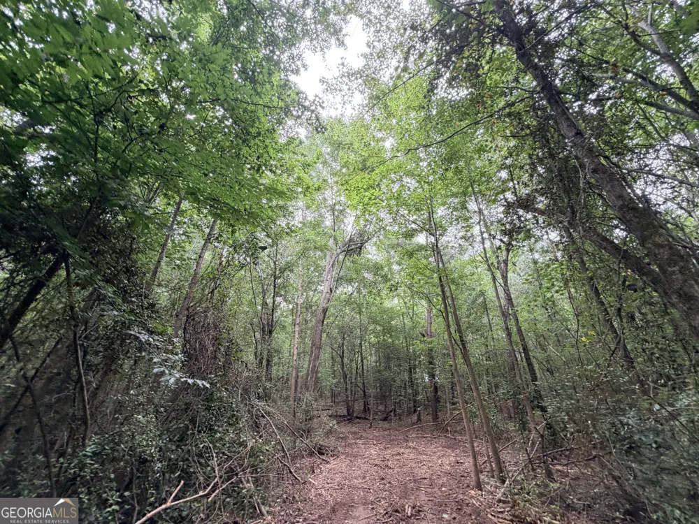 2 Norwood RD Hull, GA 30646