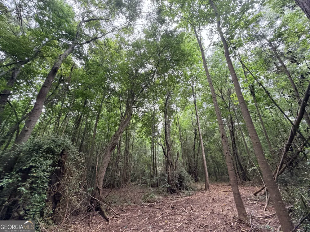 2 Norwood RD Hull, GA 30646