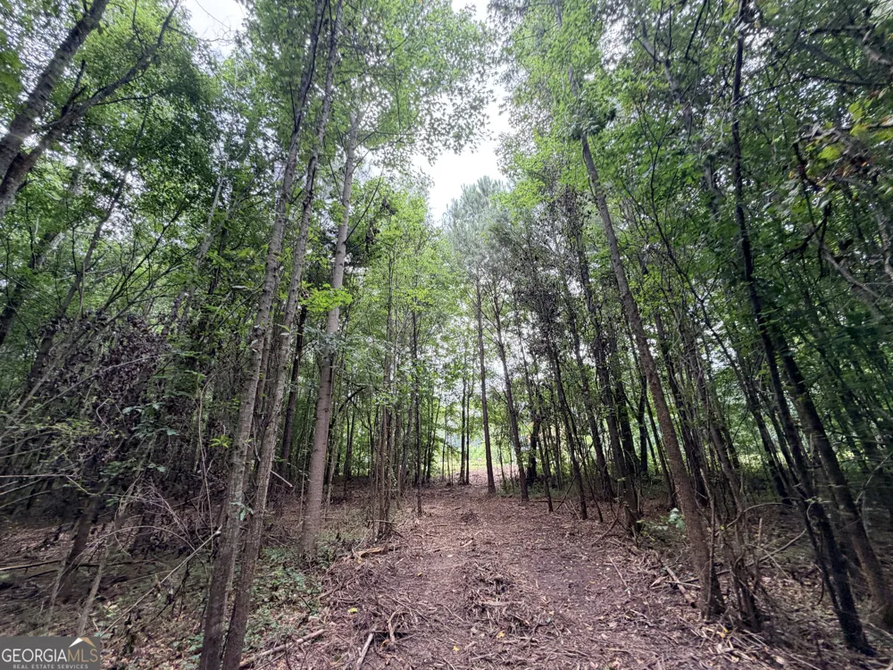 2 Norwood RD Hull, GA 30646