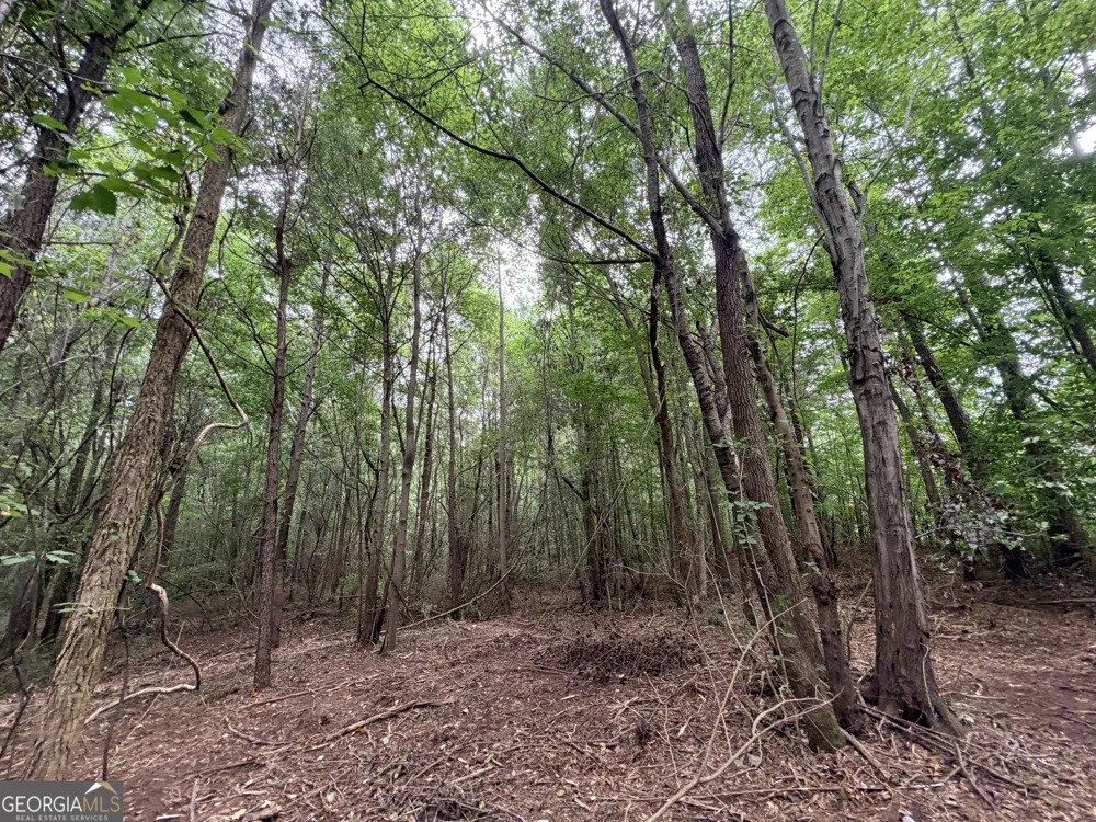 2 Norwood RD Hull, GA 30646