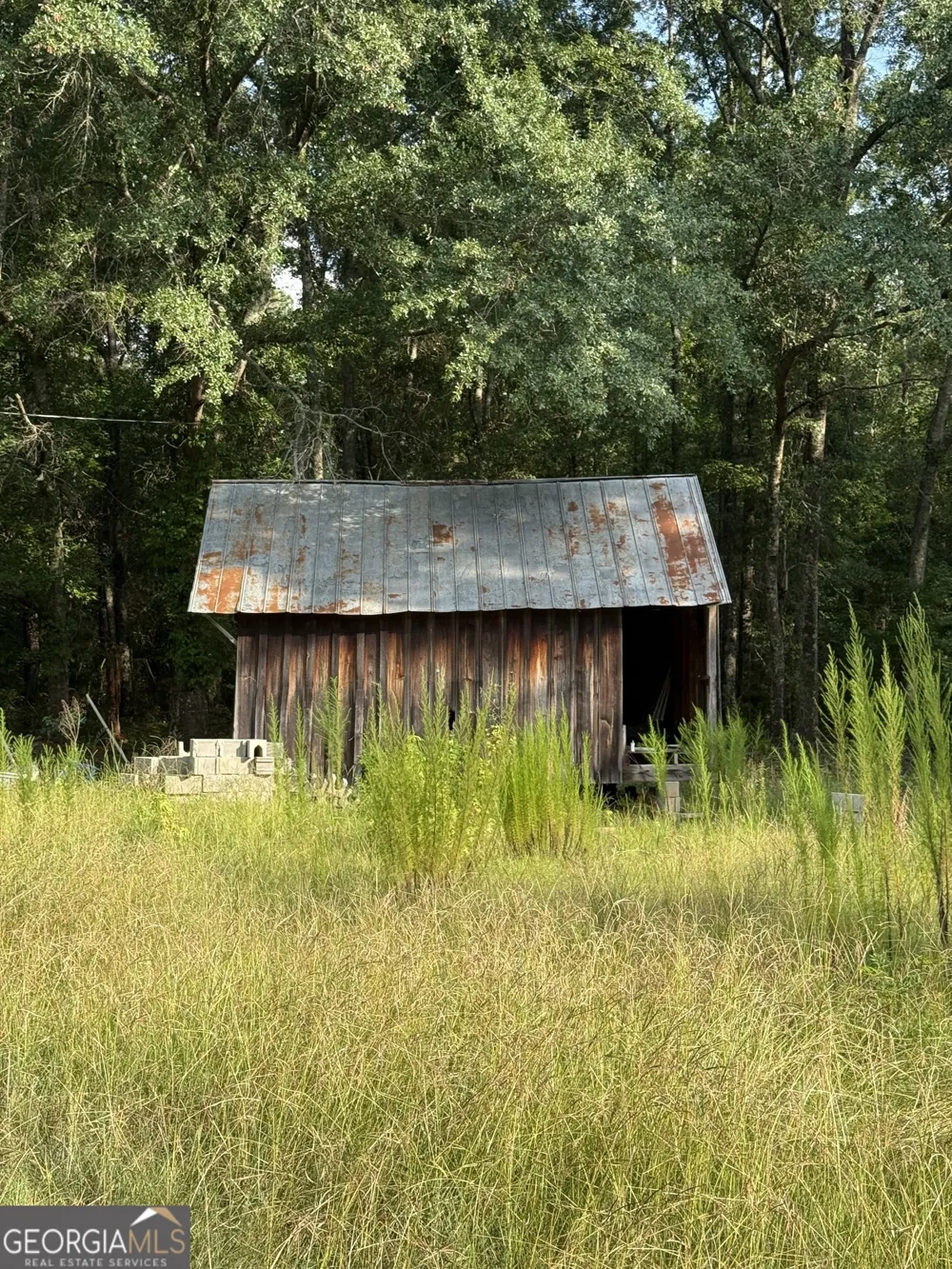 1007 Pleasant Grove RD Sandersville, GA 31082