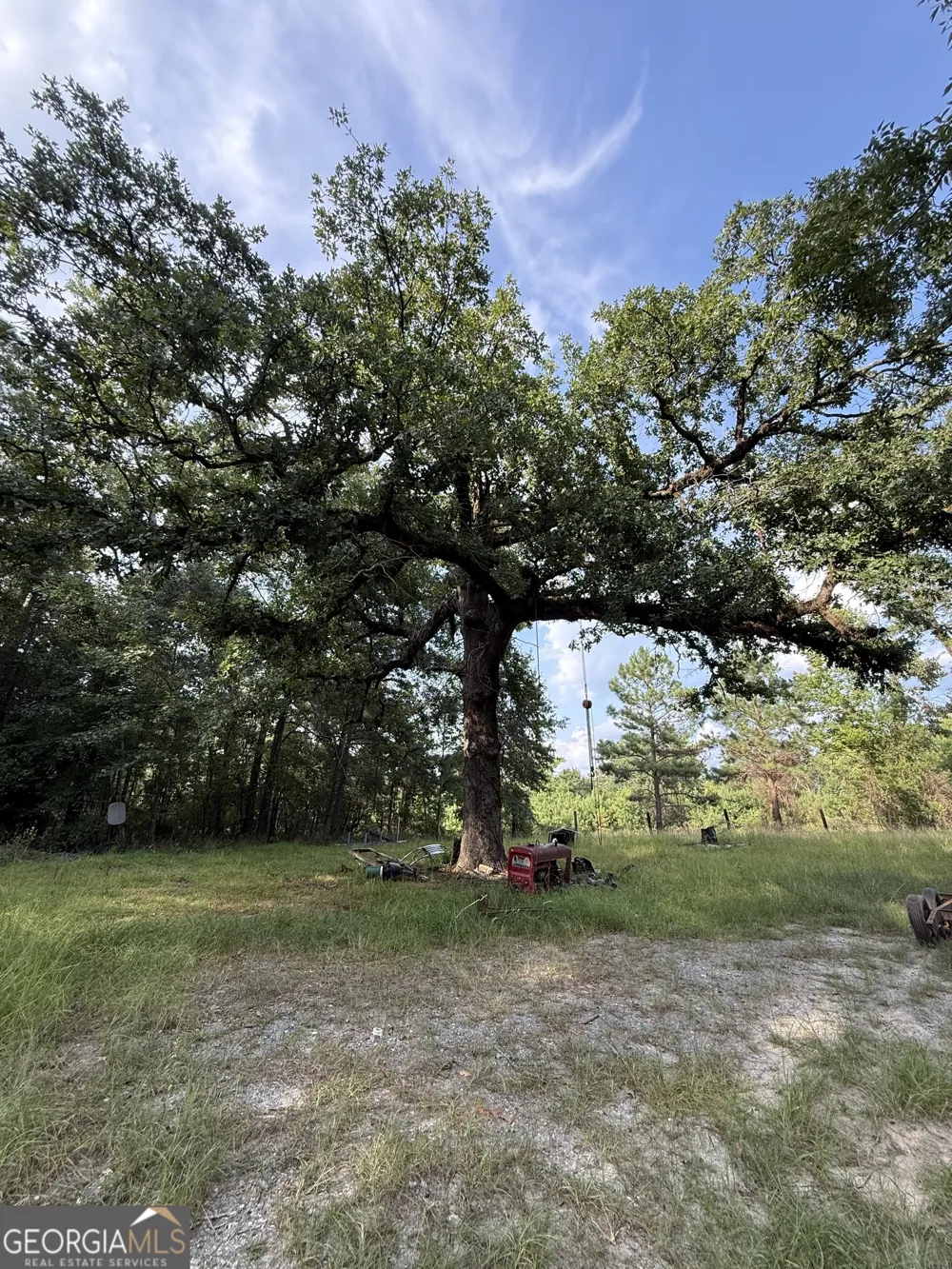 1007 Pleasant Grove RD Sandersville, GA 31082
