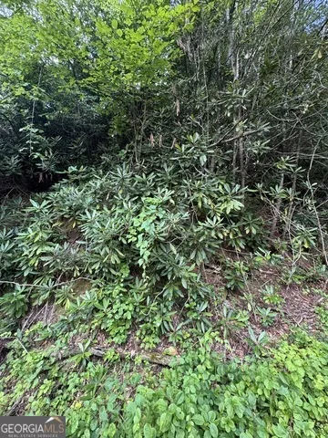 0 CREST LN Rabun Gap, GA 30568