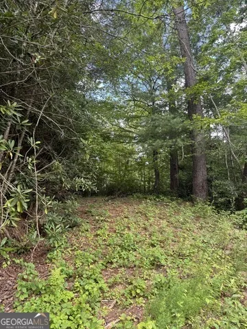 0 CREST LN Rabun Gap, GA 30568