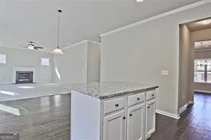 1406 Weeping Tree DR Auburn, GA 30011