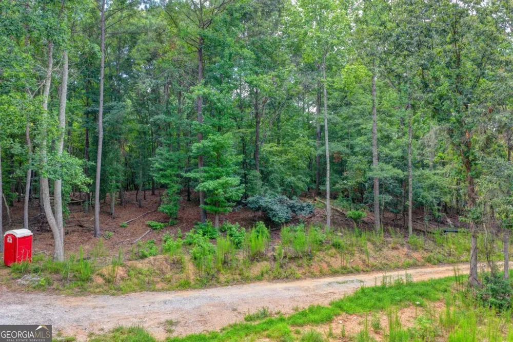 0 Pruitt RD Cumming, GA 30041