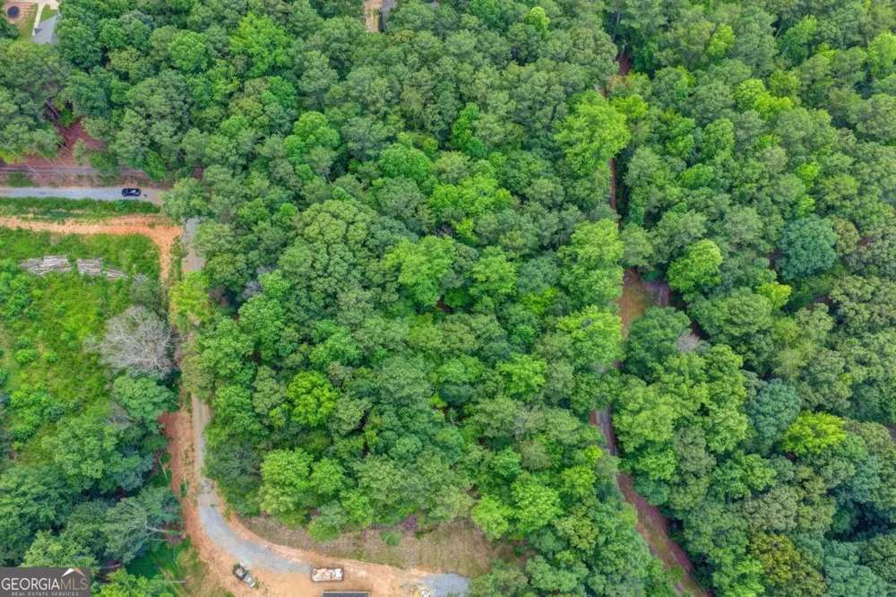 0 Pruitt RD Cumming, GA 30041