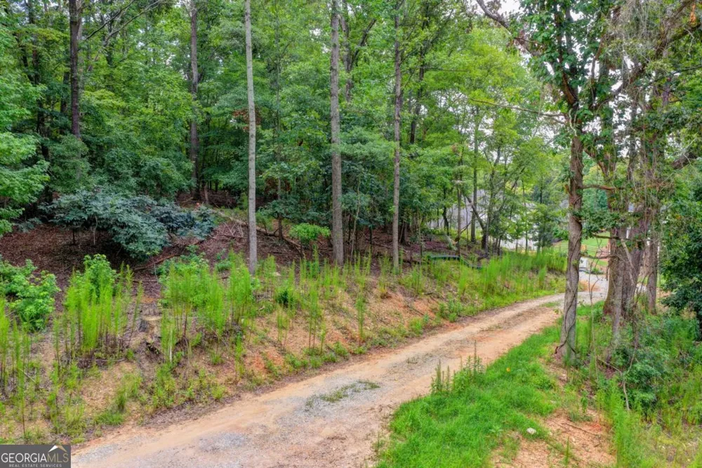 0 Pruitt RD Cumming, GA 30041