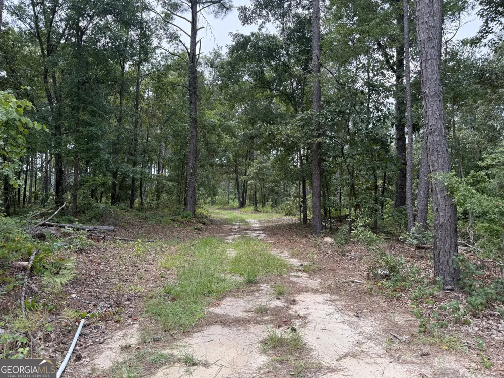 86.92 H B Dixon RD Sparta, GA 31087