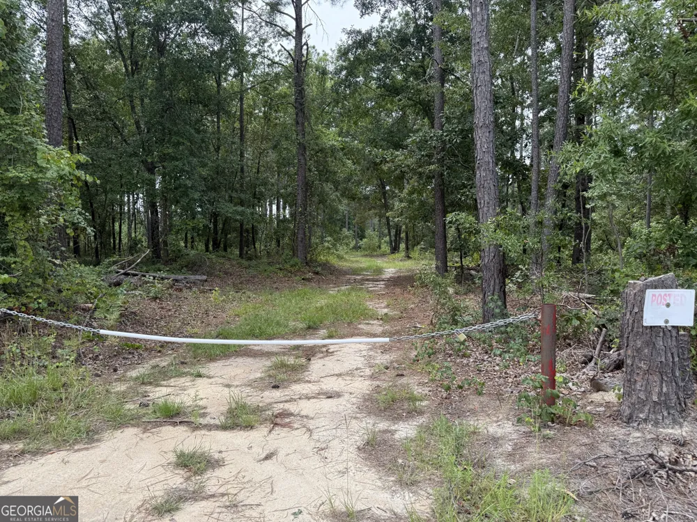 86.92 H B Dixon RD Sparta, GA 31087