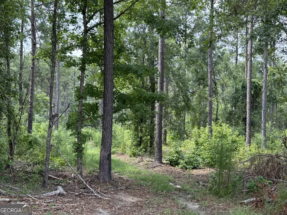 86.92 H B Dixon RD Sparta, GA 31087