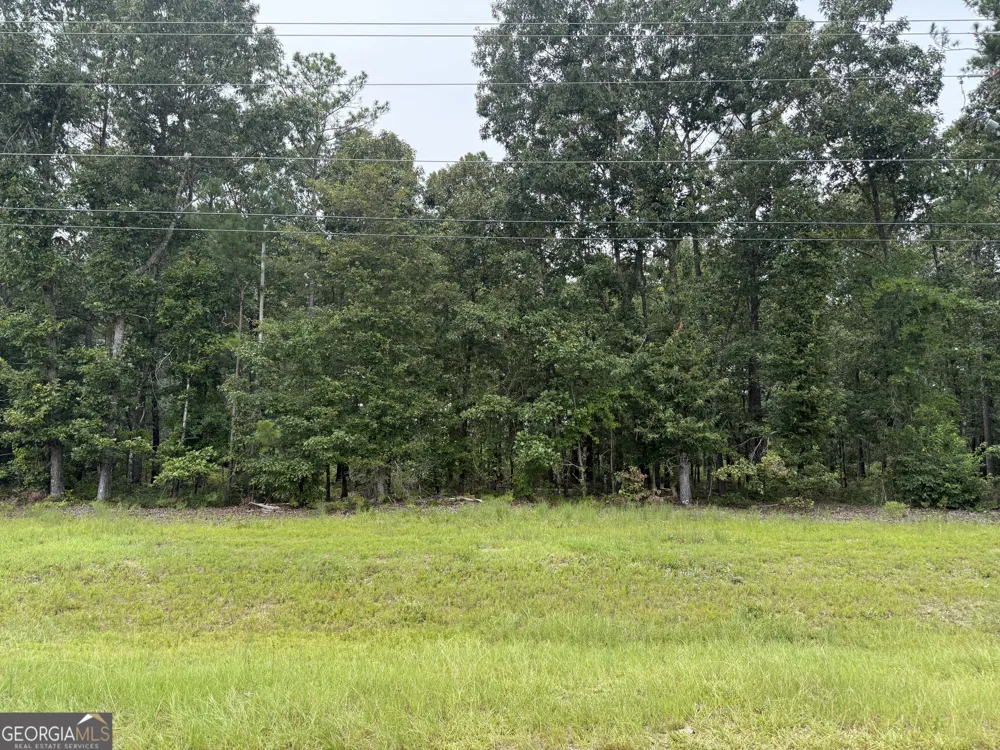 86.92 H B Dixon RD Sparta, GA 31087