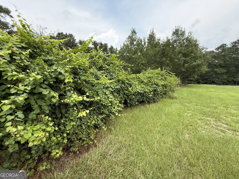 86.92 H B Dixon RD Sparta, GA 31087