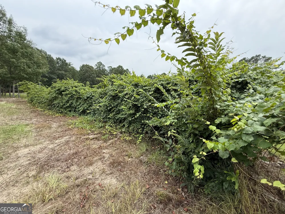 86.92 H B Dixon RD Sparta, GA 31087