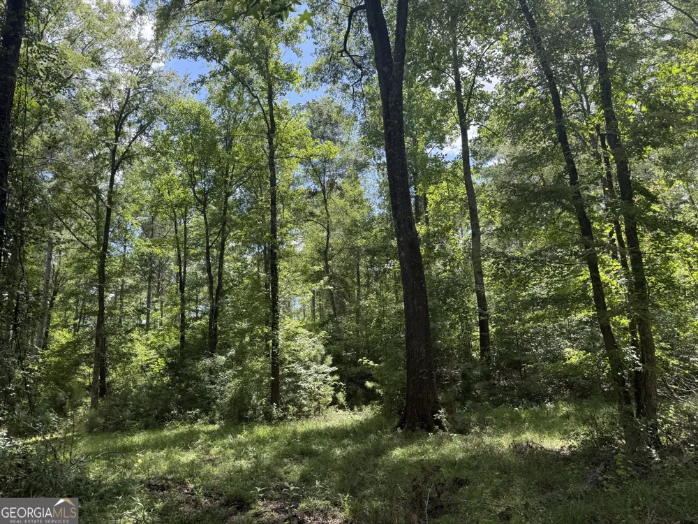 86.92 H B Dixon RD Sparta, GA 31087