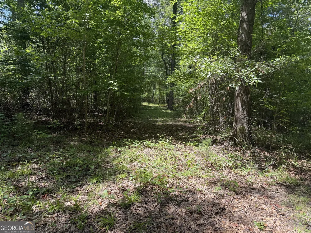 86.92 H B Dixon RD Sparta, GA 31087