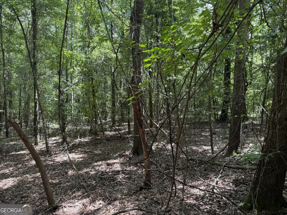 86.92 H B Dixon RD Sparta, GA 31087