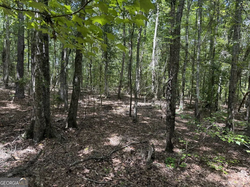 86.92 H B Dixon RD Sparta, GA 31087
