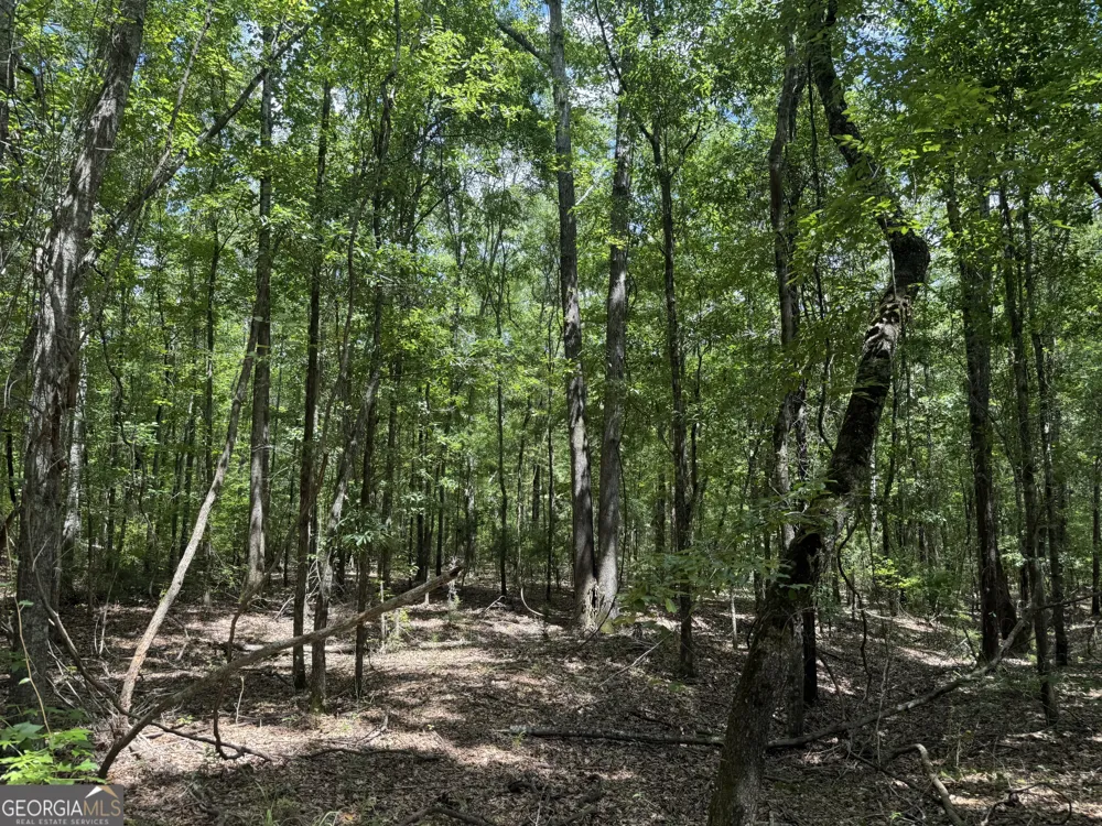 86.92 H B Dixon RD Sparta, GA 31087