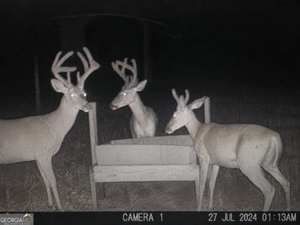 86.92 H B Dixon RD Sparta, GA 31087