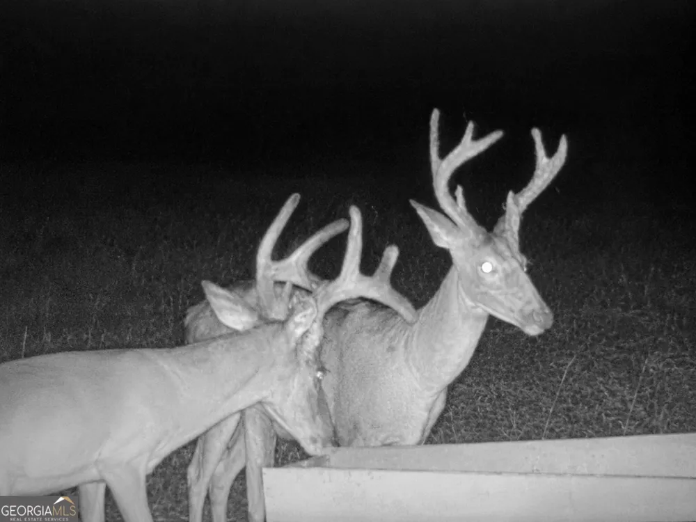 86.92 H B Dixon RD Sparta, GA 31087