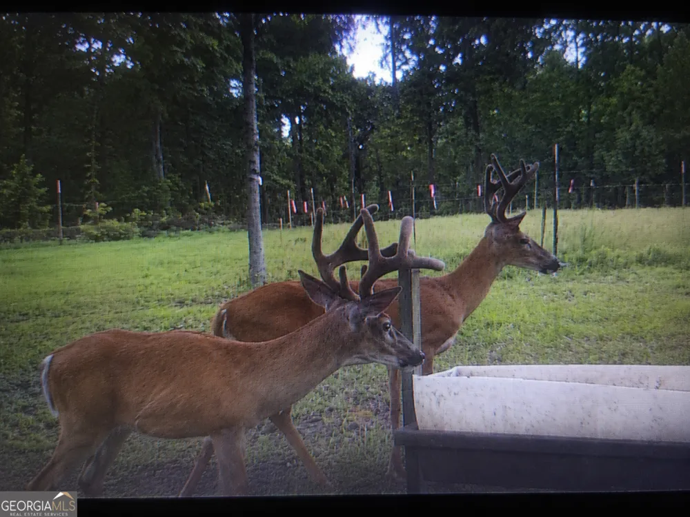 86.92 H B Dixon RD Sparta, GA 31087