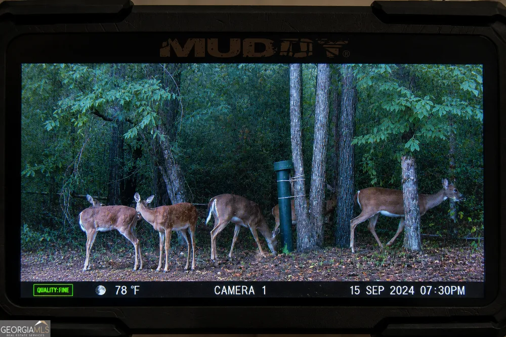 86.92 H B Dixon RD Sparta, GA 31087