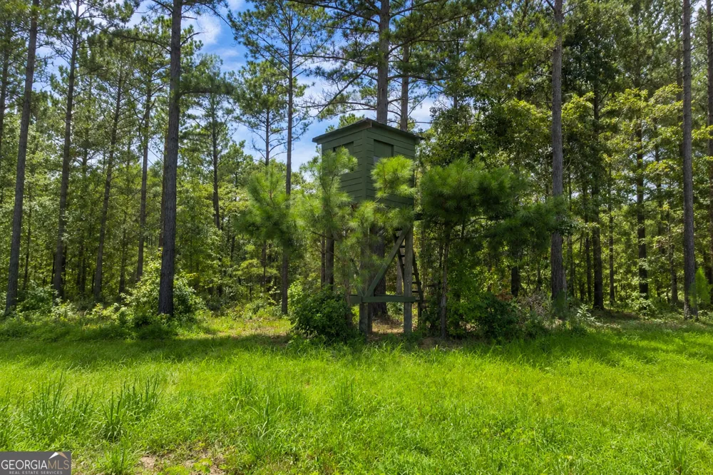 86.92 H B Dixon RD Sparta, GA 31087